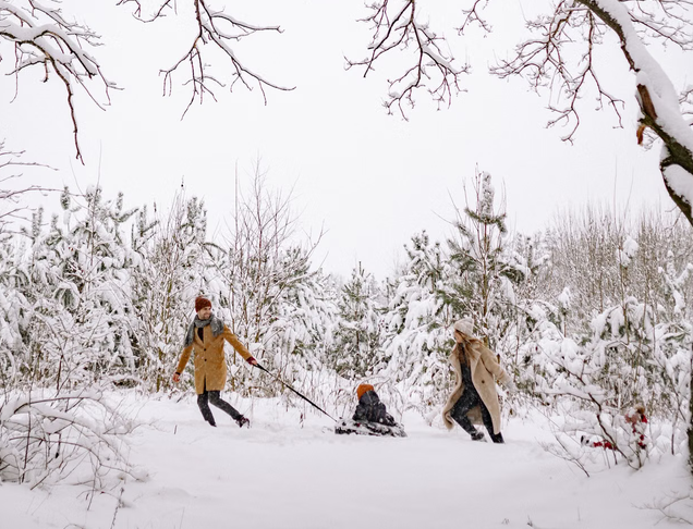 Family walking through a snowy forest near Tromsø while pulling a child on a sled