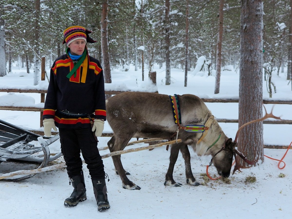 Sámi guide with a reindeer in a snowy forest near Tromsø, Norway