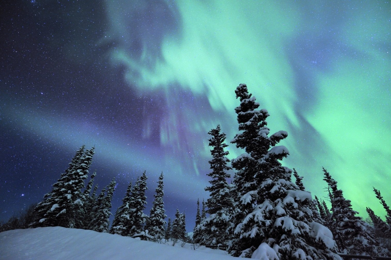 tromso_aurora_adventures